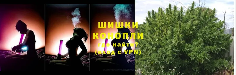 Бошки Шишки Ganja  Железноводск 